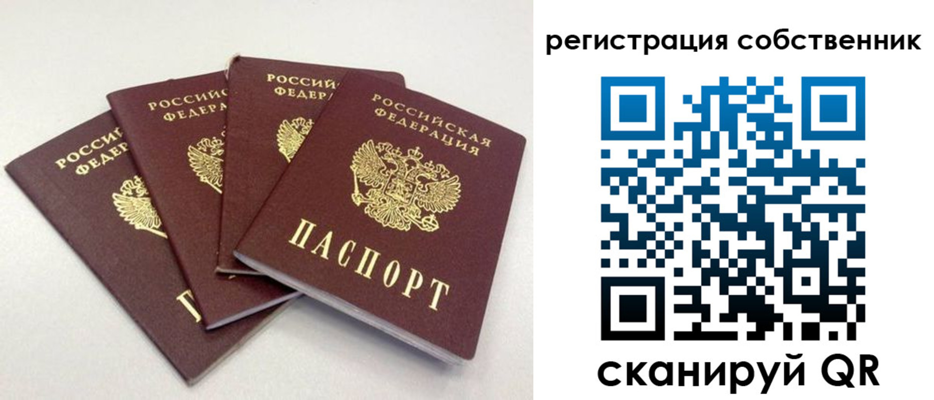 прописка для школы в Тосно